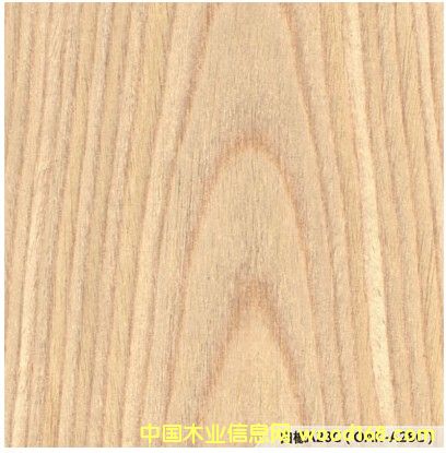 �Ƽ�ľƤ��Ԕ��(x��)��B