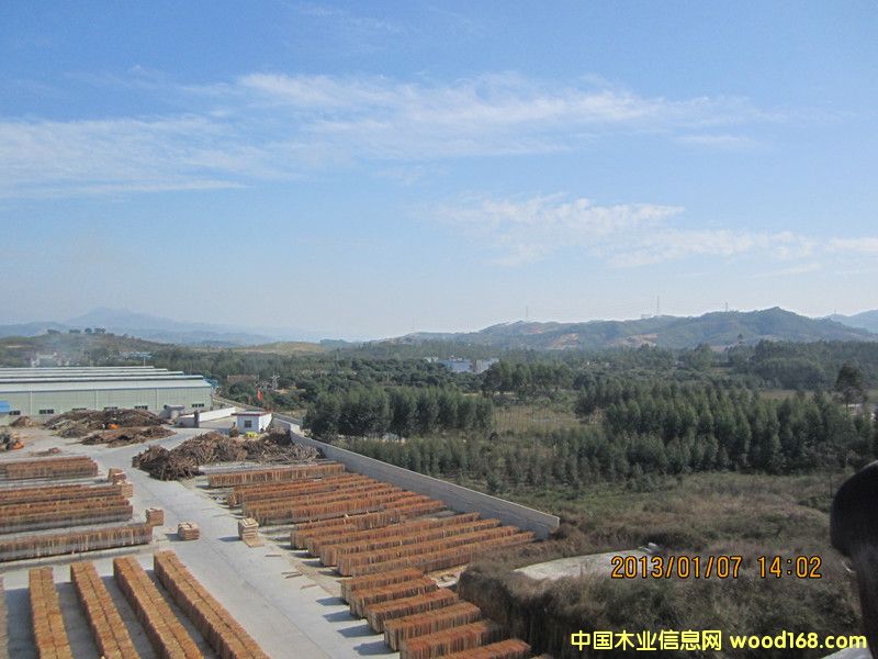 �����L(f��ng)����Ԕ��(x��)��B