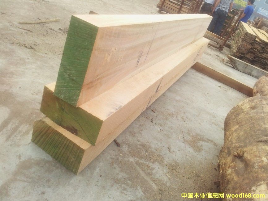 ��������ľ-õ��ľ��ĵ�Ԕ��(x��)��B