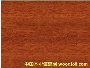 �c���鿴ӡ�Ფ�}��Ŵ�DƬ