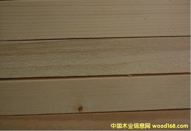 �c���鿴�t�ɷŴ�DƬ