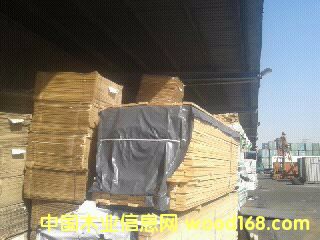 [��] ���_˹ԭ�b������ ���~��