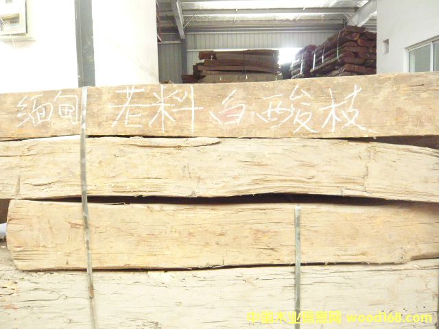 ��֦ľ��Ԕ����B