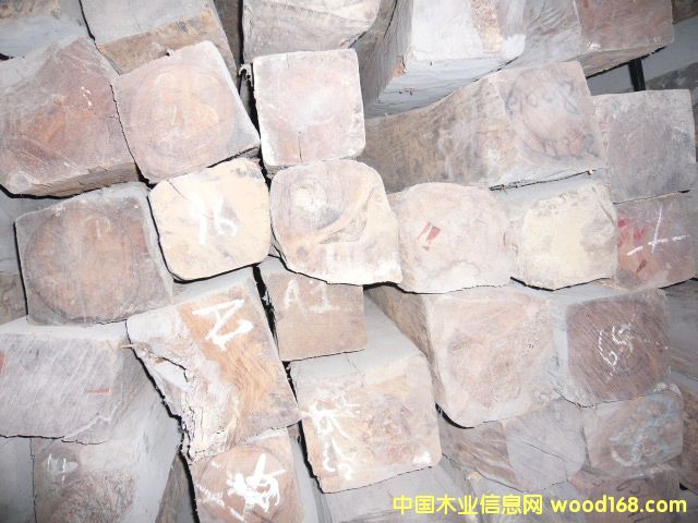 ����֦��Ԕ����B