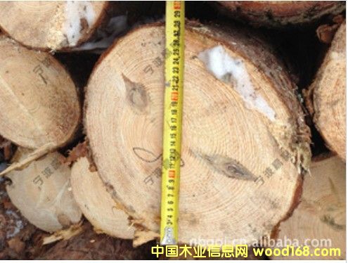 �W��������ԭľ��ڏ���Ԕ��(x��)��B