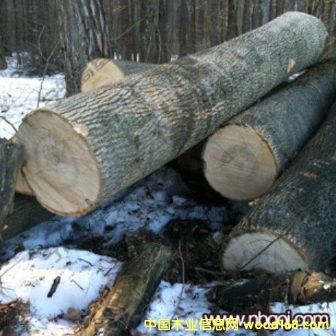 �W�ްט�ԭľ�󏽵�Ԕ��(x��)��B