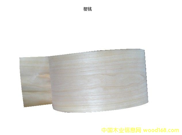 ���ҵ�Ԕ����B