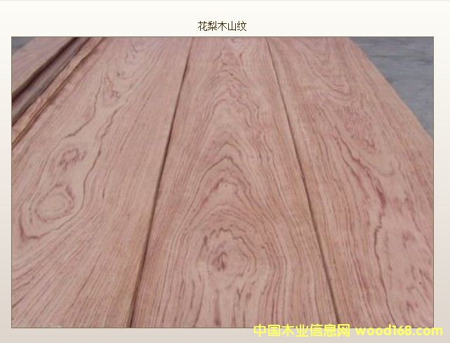 ɽ�y����ľ