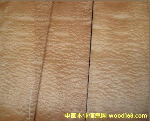 ����ɳ������Ԕ����B