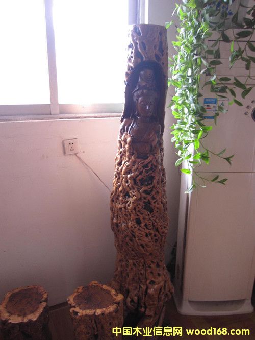 [��] ��ľ�^��