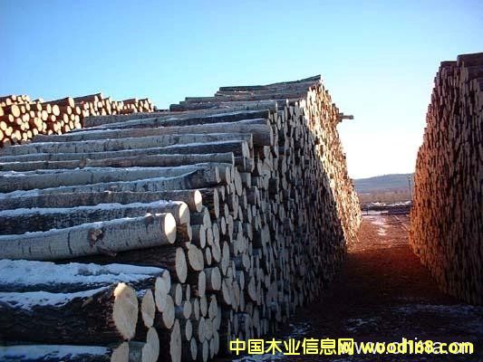 ��ľ��Ԕ��(x��)��B