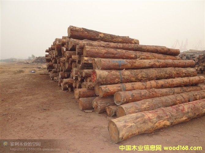 �����ɵ�Ԕ��(x��)��B