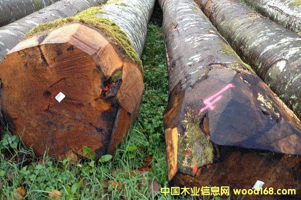 ����ľ��Ԕ��(x��)��B