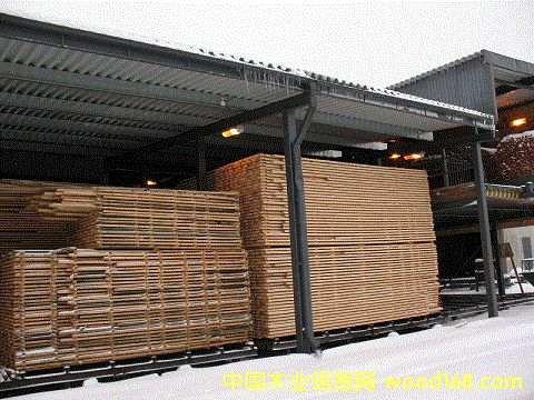 ���m��ľ���1��Ԕ��(x��)��B