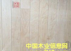 ��ľ�w��ľ�ذ�www.tipurunsheng.com��Ԕ��(x��)��B