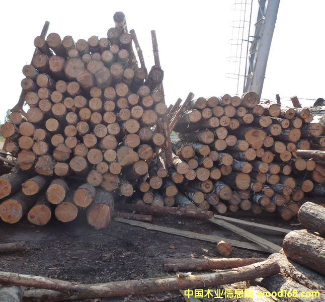 ��ľ��Ԕ��(x��)��B