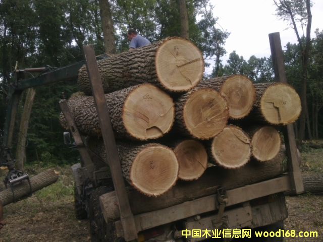 ԭľ��Ԕ��(x��)��B