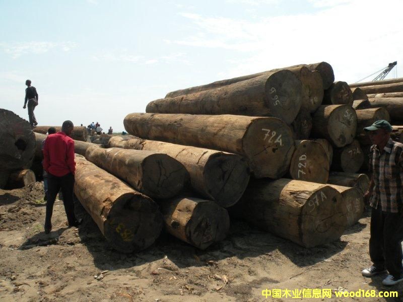 ������ľ��Ԕ��(x��)��B