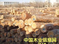 ��ľ�M(j��n)�ڈ�(b��o)�P(gu��n)/ľ���M(j��n)������/ľ���M(j��n)�ڕr(sh��)�g/�M(f��i)��