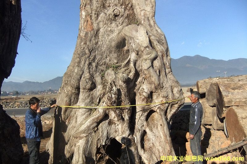 �ľ��Ԕ��(x��)��B