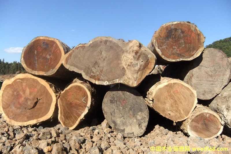 �ľ��Ԕ��(x��)��B