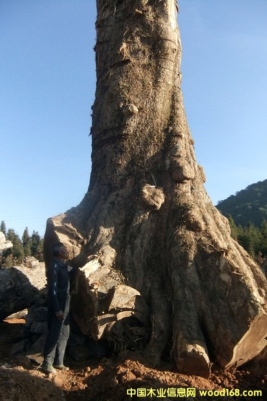 �ľ��Ԕ��(x��)��B