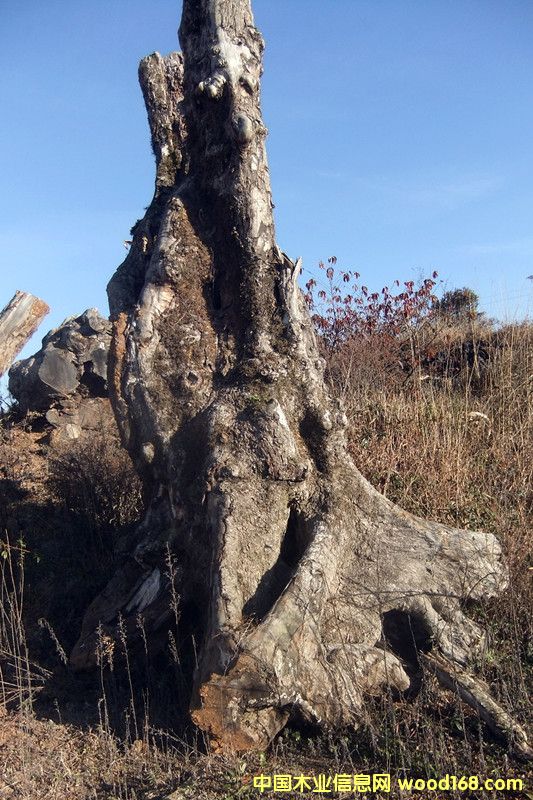 �ľ��Ԕ��(x��)��B