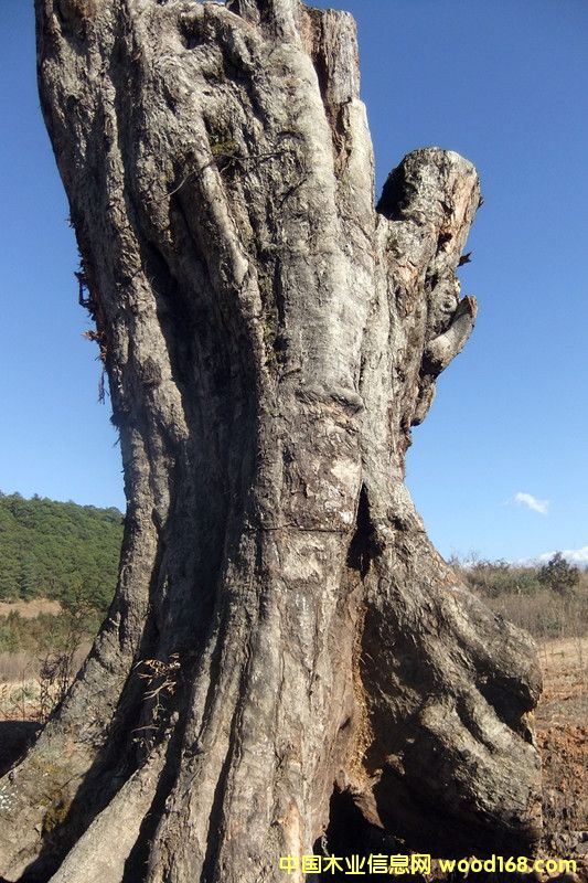 �ľ��Ԕ��(x��)��B