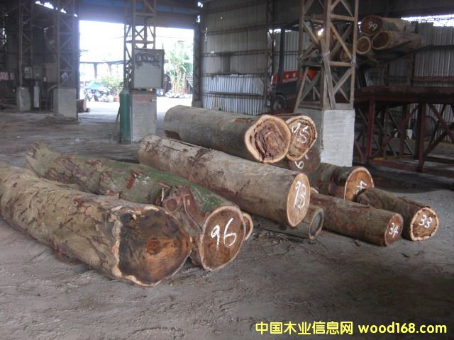 �_(t��i)����˼ľ���вĵ�Ԕ��(x��)��B