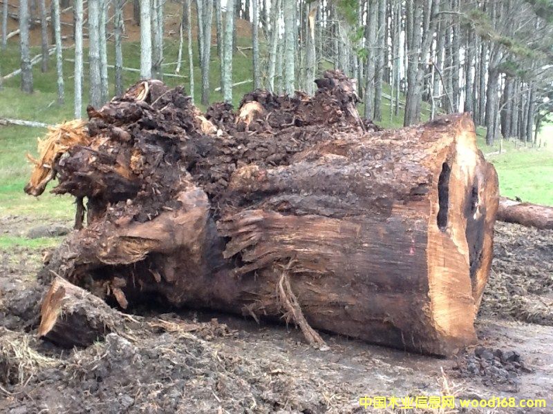 �����mؐ��ɼ��(sh��)��