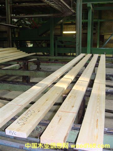 ���_˹�����ɺ��Ҏ(gu��)��ĵ�Ԕ��(x��)��B