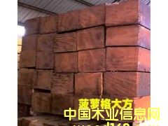 �����I�Ĳ��}��ľ����