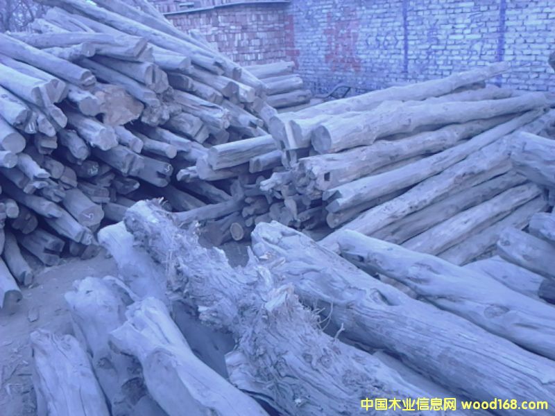 �ӱ�̫��ɽ�°�ľ��Ԕ��(x��)��B