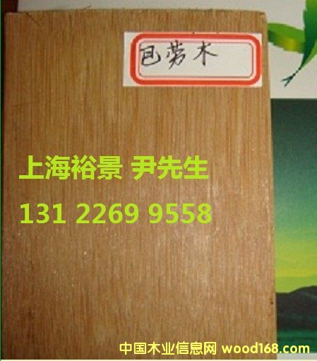 巴勞木的詳細(xì)介紹