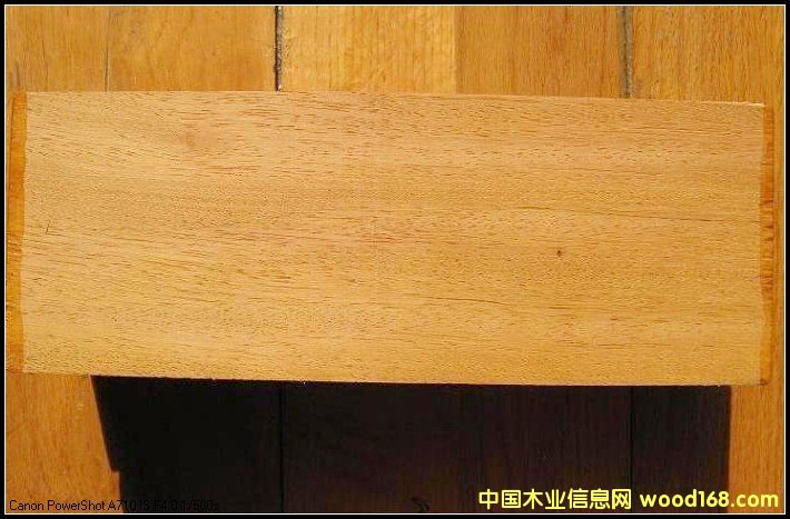 巴蒂木的詳細(xì)介紹