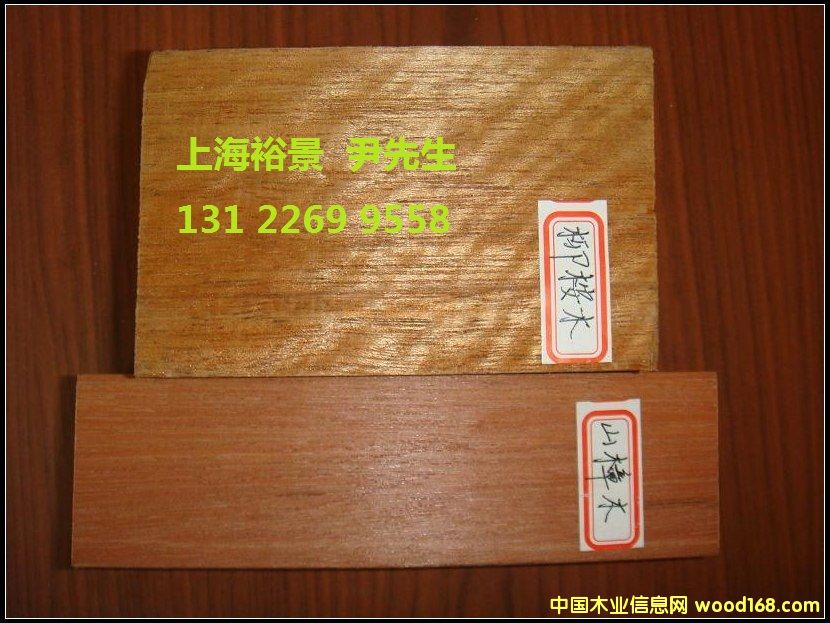 柳桉木的詳細(xì)介紹