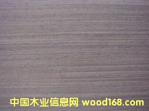 E.V�F��RIV-119��Ԕ����B