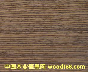 E.V��֦-828��Ԕ����B