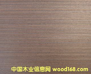 E.V�F��RIV-107p��Ԕ����B