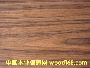 E.V��֦-806c��Ԕ����B