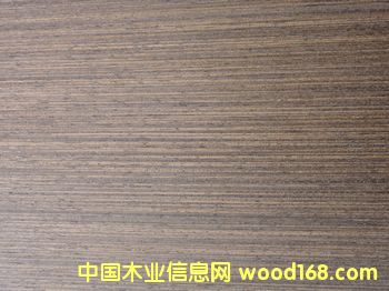 E.V�F��RIV-105��Ԕ����B