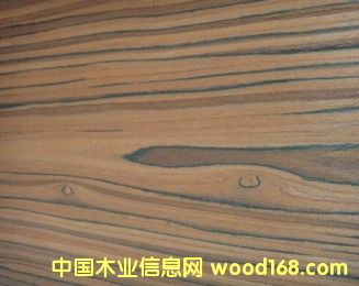 E.V��֦-818c��Ԕ����B