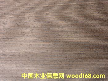 E.V�F��RIV-101��Ԕ����B