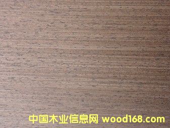 E.V�F��RIV-145��Ԕ����B