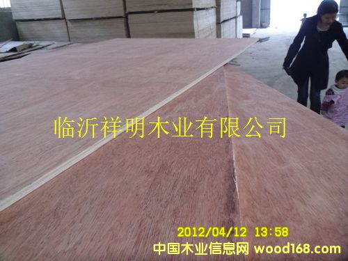 [��] �z�ϰ���b��Ҿ߰��бP��8��