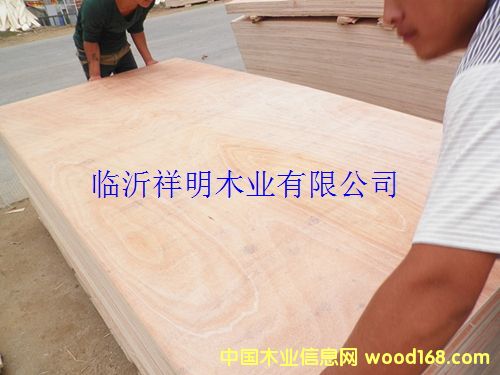 [��] �z�ϰ�18����b��