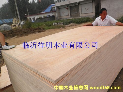 �z�ϰ�6����b���һ������