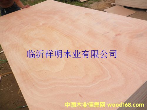 [��] �z�ϰ���b��Ҿ߰��бP��8��