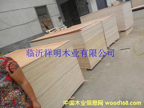 [��] �z�ϰ���b��Ҿ߰��бP��8��