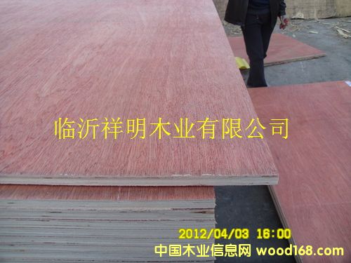 [��] �z�ϰ���b���бP��9��